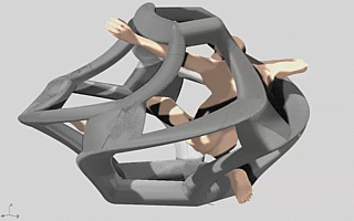 Geometria ed evoluzione