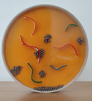 Magnetic Circle