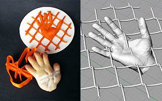 Hands in the net