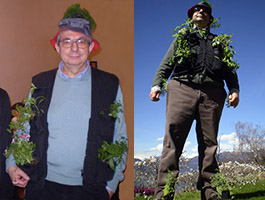 Vertical garden