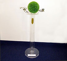 Colonna di vita